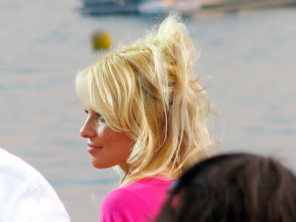 Pamela Anderson